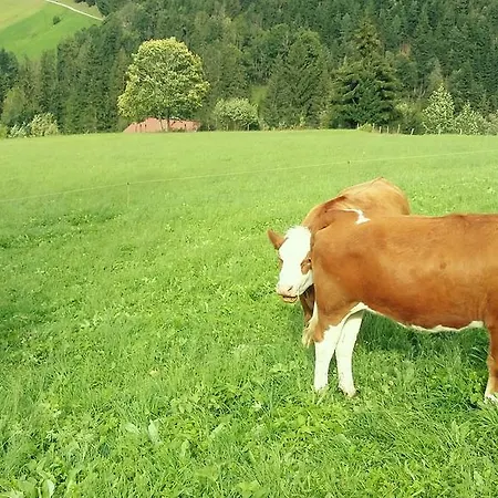 Hinterwiesgut *