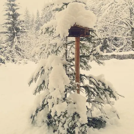 Hinterwiesgut Altenmarkt im Pongau