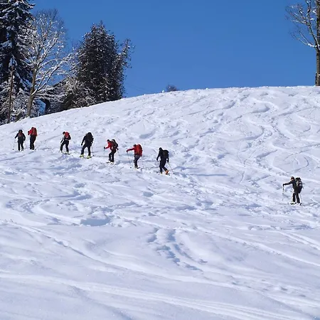 Hinterwiesgut *